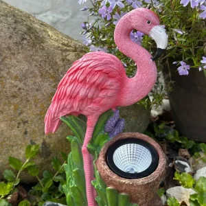 Flamingo med solar