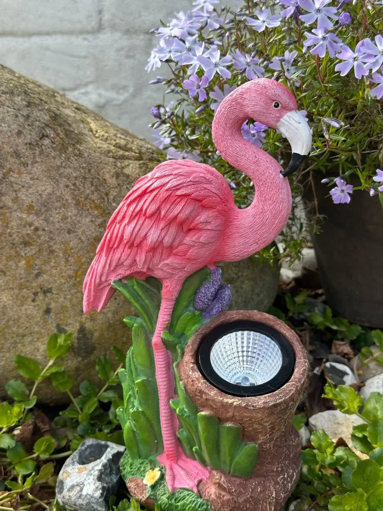 Flamingo med solar