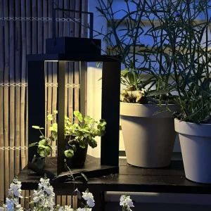 Lanterne LUX med solceller