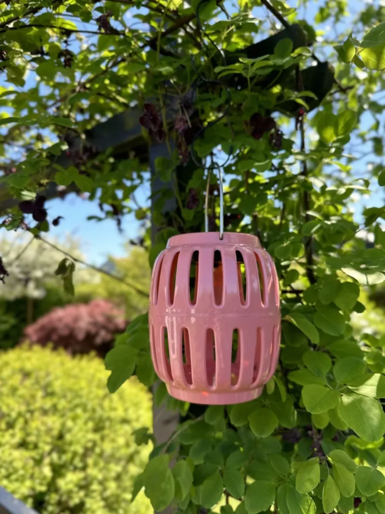 Lanterne med solceller - Coral summer