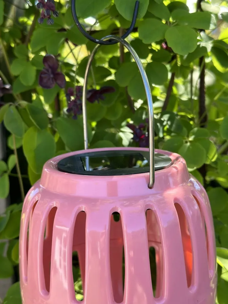 Lanterne med solceller - Coral summer