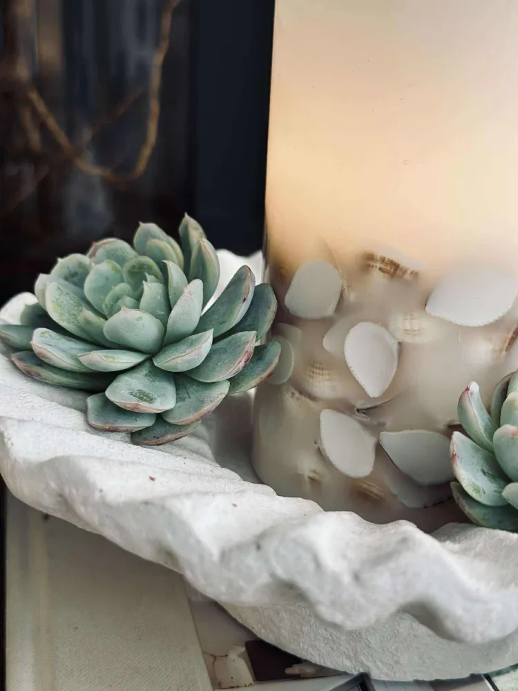 LED Nature – Sett med 3 stk og fjernkontroll