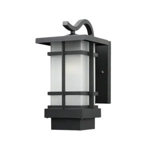 La Lumière Noire