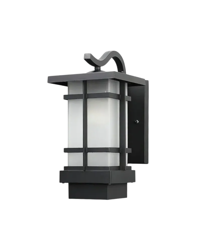 La Lumière Noire