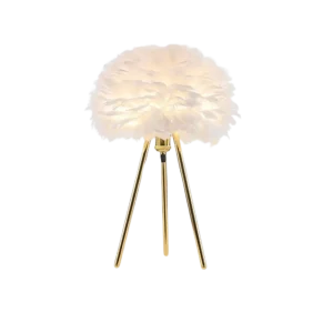 Lumière de Plume