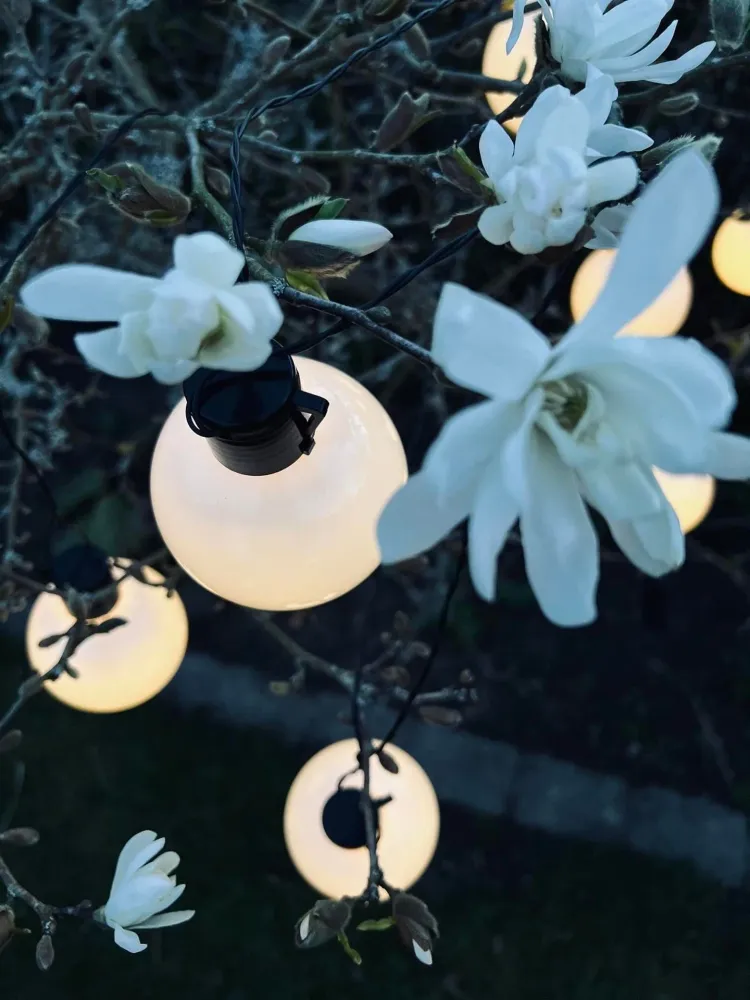Lyskjede WHITE DOTS - Batteriboks med timer