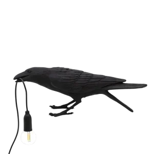 La Nuit du Corbeau