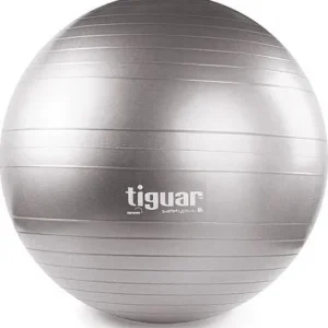 Treningsball 65cm grå, sikkerhetsmodell stabilitetstrening – Tiguar SP0065SZ – TI-SP0065SZ