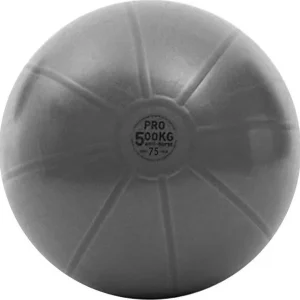 Treningsball 75cm anti-burst 500kg hjemmetrening – Toorx PRO AHF-149