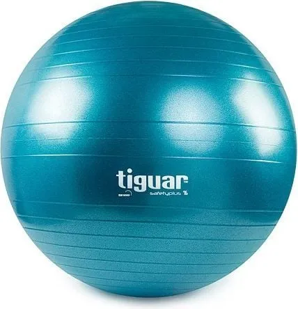 Treningsball 75cm Anti-Burst Safety Plus, blå hjemmetrening – Tiguar