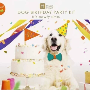 Hundebursdag Party Box