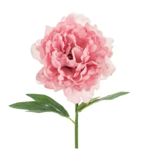 Kunstig Peon, Rosa