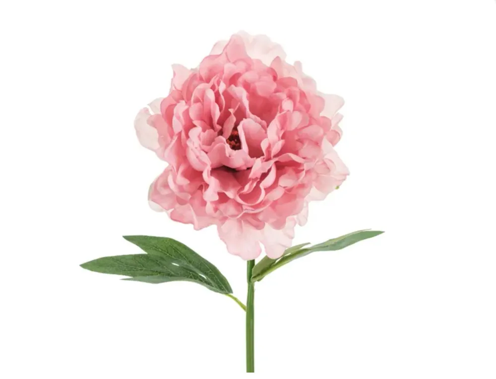 Kunstig Peon, Rosa