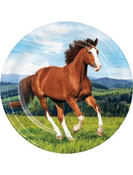 Papptallerken -Hester- 22,2cm pk/8