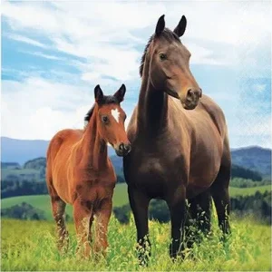 Servietter -Hester- 20stk