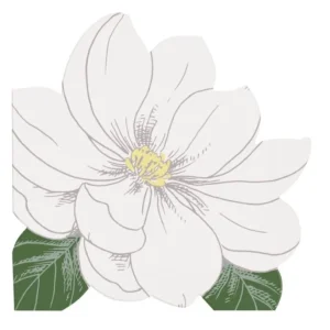 Servietter -Hvit Blomster- pk/16