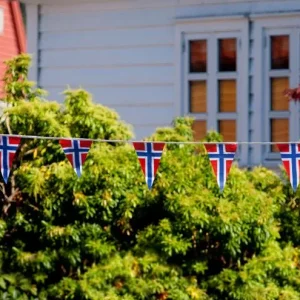 Vimpelrekke Norske flagg 5 meter