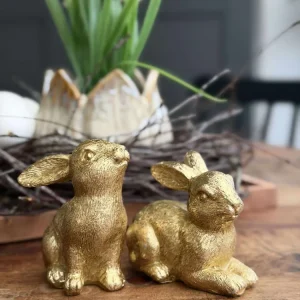 Kanin - Golden mix