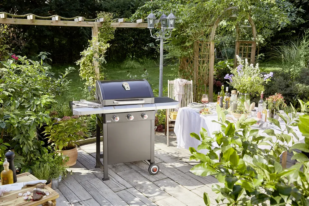 Gassgrill Rexon 3.0 Sort CI 12236 - Ansiktsløftning