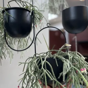 Potte med krok - Black