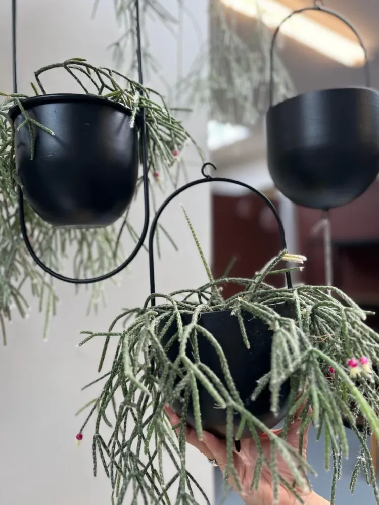 Potte med krok - Black