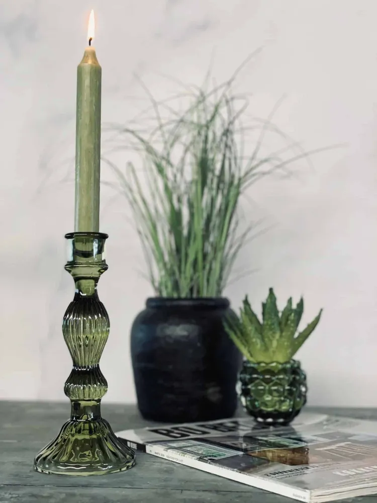 Aloe vera m/pigger 15cm