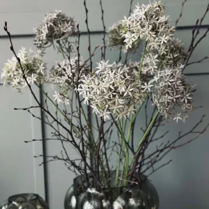 Blomst Allium