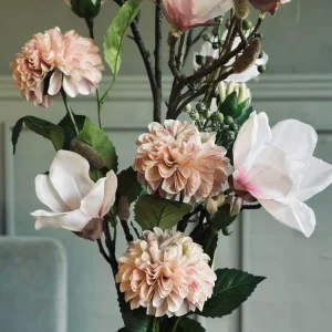 Blomst Dahlia