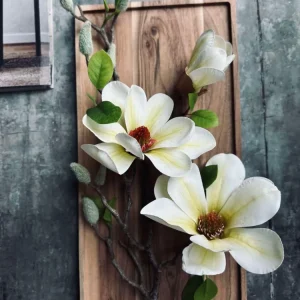 Blomst Magnolia - Hvit