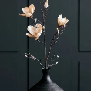 Blomst, Magnolia, Råhvit