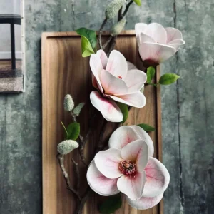 Blomst Magnolia - Rosa