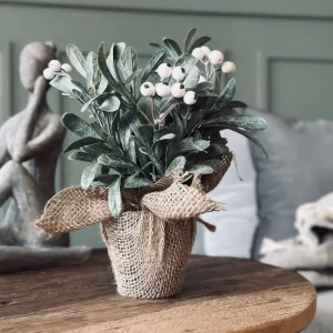 Blomst med snøbær