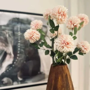 Blomst Peach rose