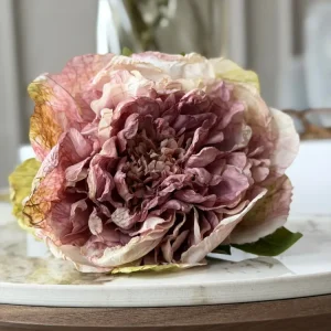Blomst Peon - Antikk krem / rosa