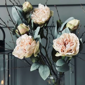 Blomst Pæon Creme