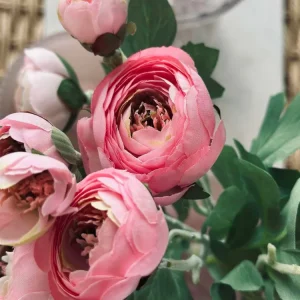 Blomst Ranunkel stilk