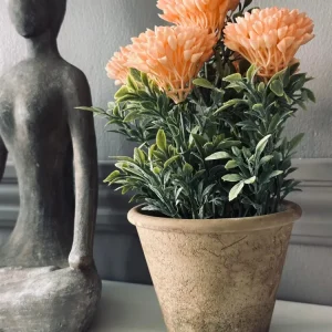 Blomst i rustikk potte - Coral