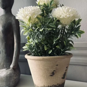 Blomst i rustikk potte - Hvit
