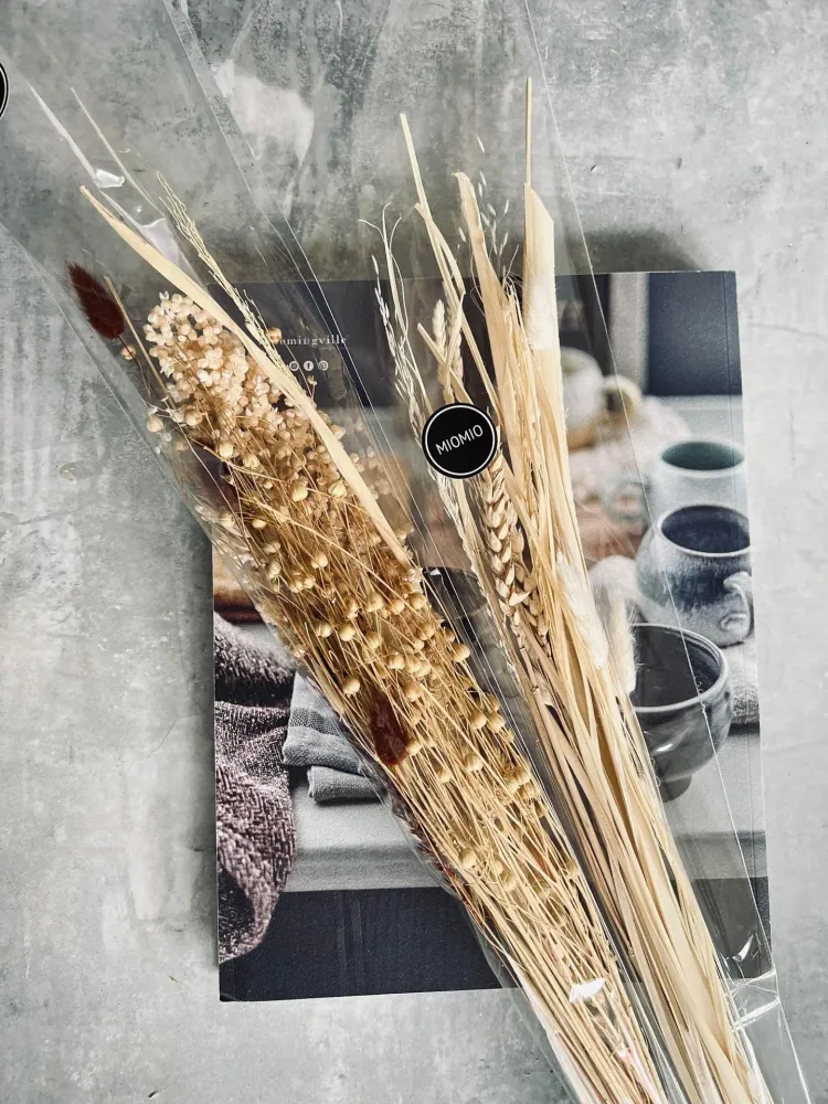 Bunt mix - Natur