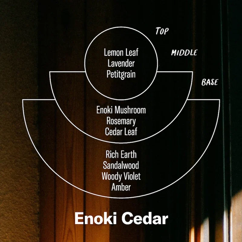 P.F. Candle Co. Duftlys, Alchemy No. 02 Enoki Cedar