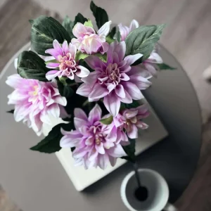 Dahlia i potte - Lyserosa
