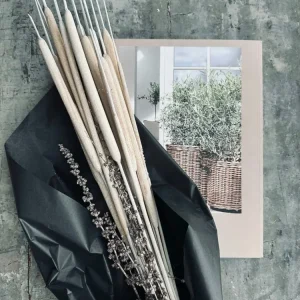 Dunhammer slim lys natur