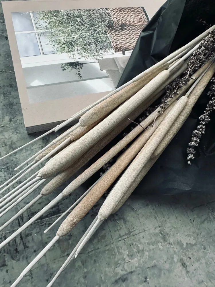 Dunhammer slim lys natur