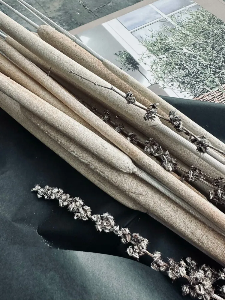 Dunhammer slim lys natur