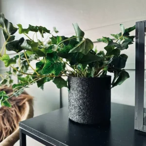 Eføy – 55 cm
