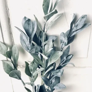 Eukalyptus stilk - 58 cm