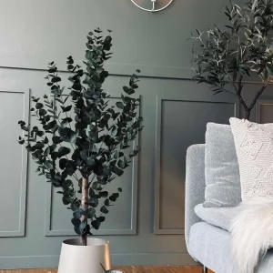 Eukalyptus Tre