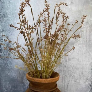 Evighetsblomst – Stilk 60cm Rosa/Grønn