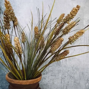 Evighetsblomst - Stilk 60 cm Grønn