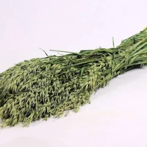 Evighetsbukett - Avena Natur